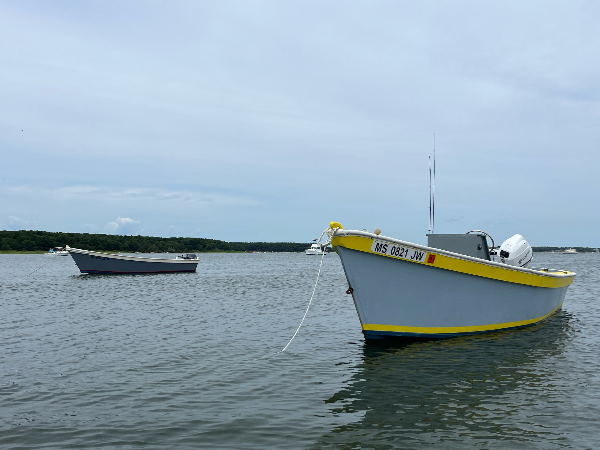 Gray and yellow Lady Bug skiff at its mooring