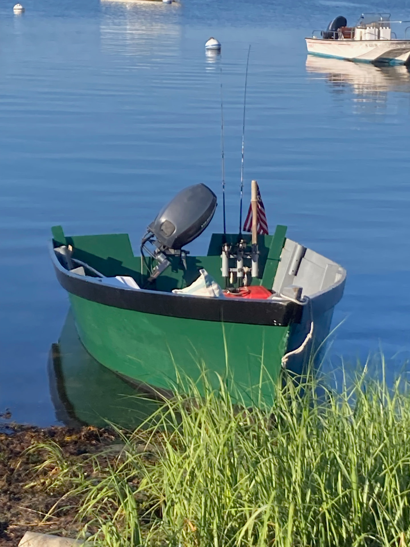 Green Lady Bug skiff near the harbor grass