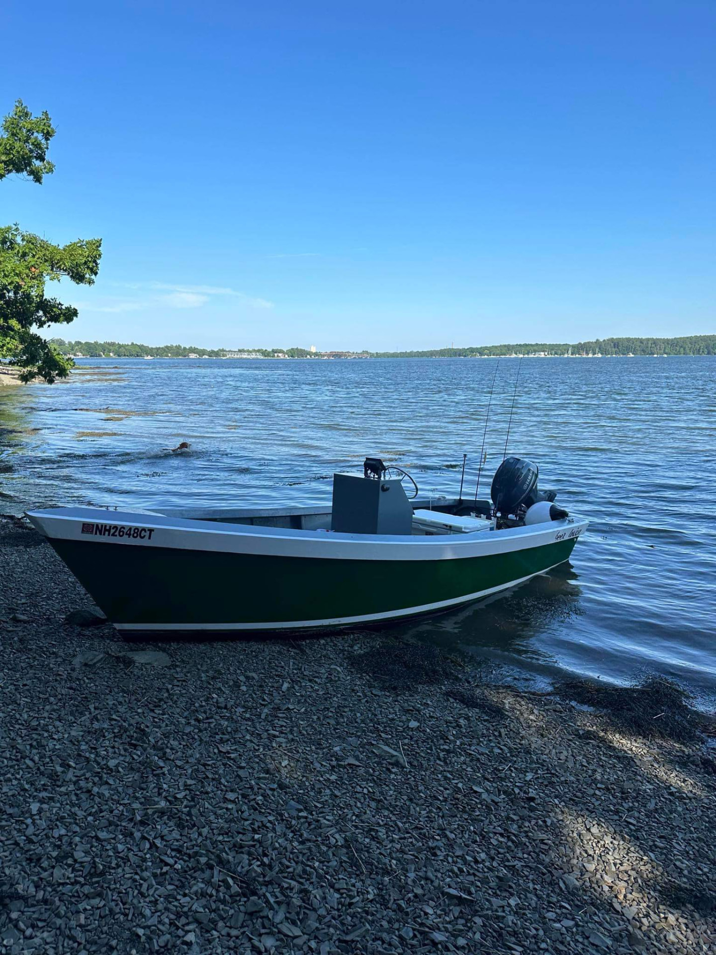 Green and white Lady Bug skiff along a rocky shoreline