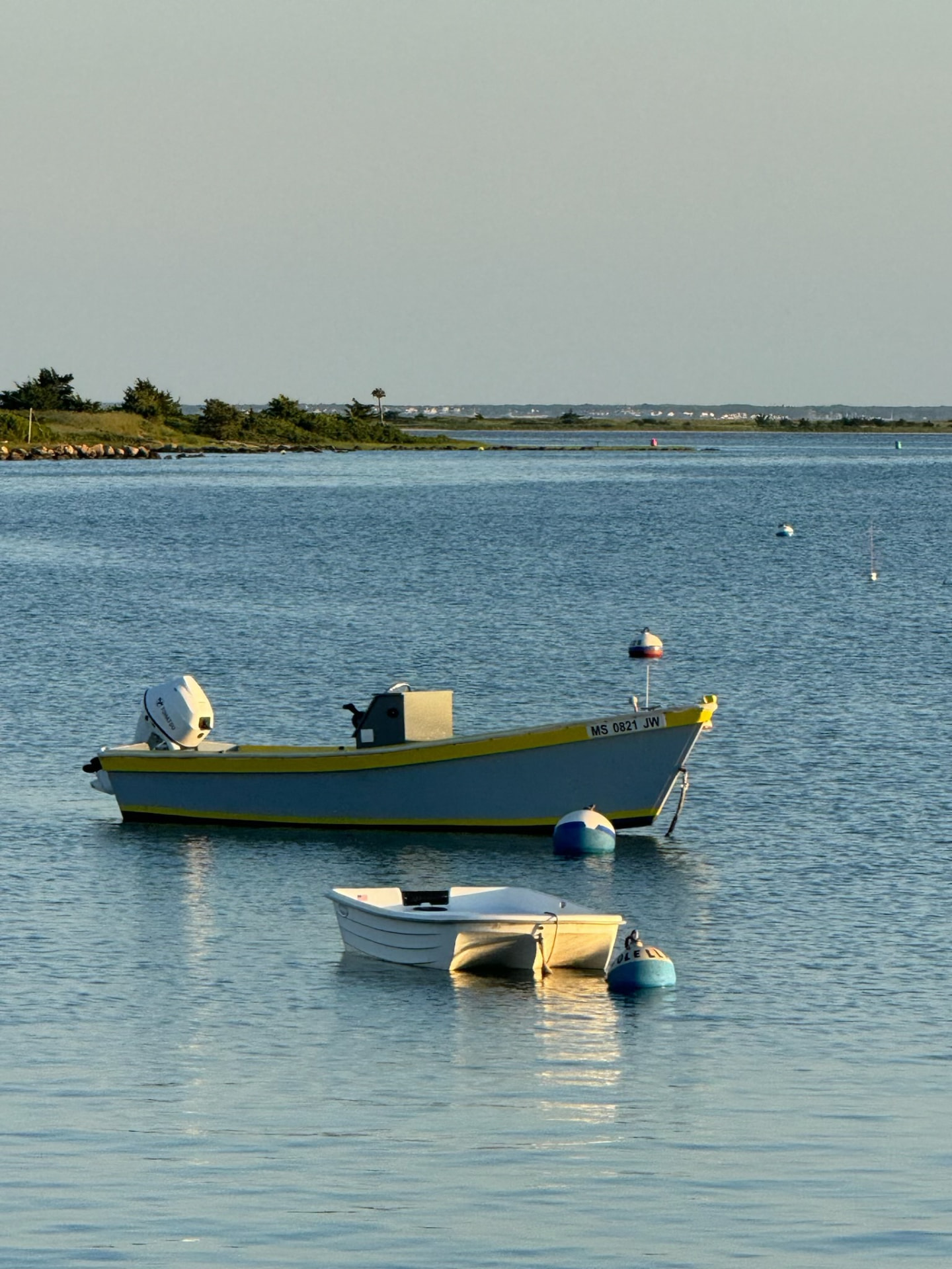 Lady Bug skiff on a harbor mooring