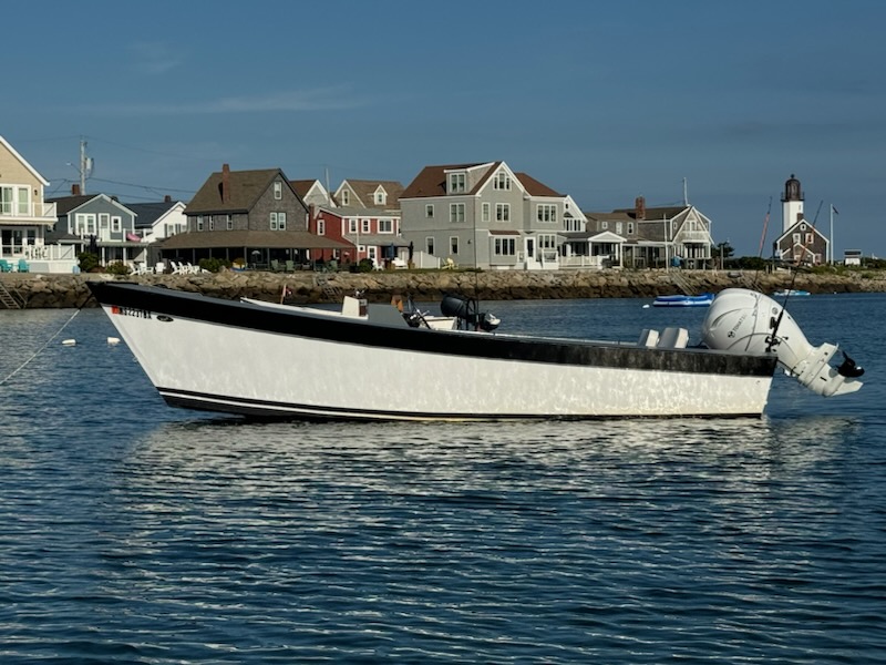 White Lady Bug skiff in a coastal harbor